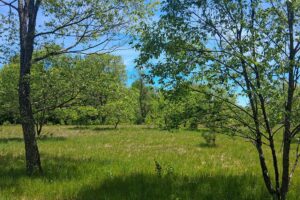 Wooded land for sale with frontage on Somo River near Tomahawk, WI