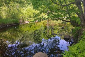 Wooded land for sale with frontage on Somo River near Tomahawk, WI