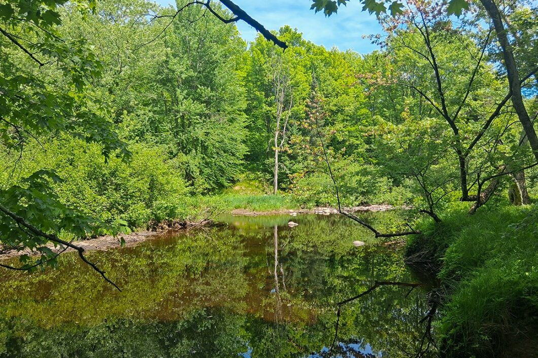 Wooded land for sale with frontage on Somo River near Tomahawk, WI