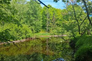 Wooded land for sale with frontage on Somo River near Tomahawk, WI