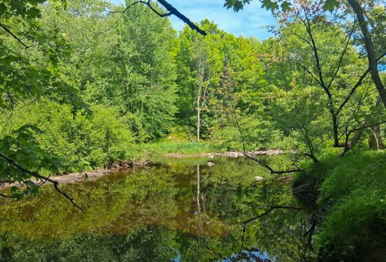 Wooded land for sale with frontage on Somo River near Tomahawk, WI