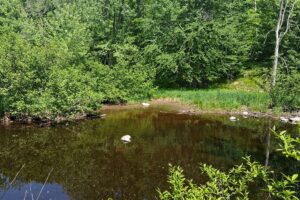 Wooded land for sale with frontage on Somo River near Tomahawk, WI
