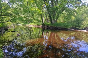 Wooded land for sale with frontage on Somo River near Tomahawk, WI