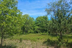 Wooded land for sale with frontage on Somo River near Tomahawk, WI