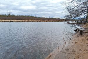 Wooded land for sale near Tomahawk, WI and Lake Nokomis.