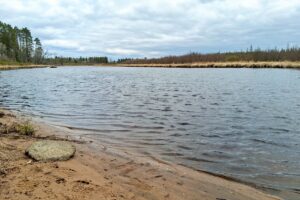 Buildable wooded land for sale near Lake Nokomis in Oneida County, WI