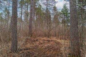 Buildable wooded land for sale near Lake Nokomis in Oneida County, WI