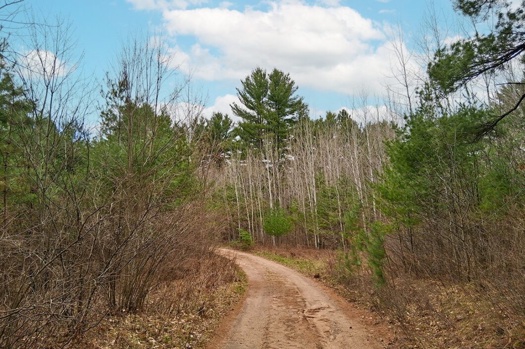 Secluded land for sale just minutes from Lake Nokomis near Tomahawk, WI.
