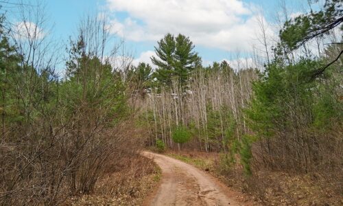 Secluded land for sale just minutes from Lake Nokomis near Tomahawk, WI.