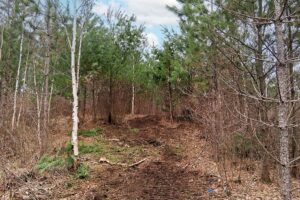 Secluded land for sale just minutes from Lake Nokomis near Tomahawk, WI.