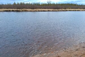 Secluded land for sale just minutes from Lake Nokomis near Tomahawk, WI.