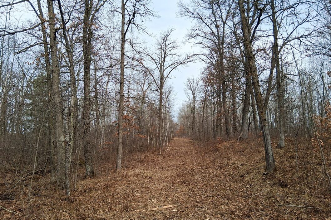 Private wooded setting on 2-acre buildable land for sale near Trego Wisconsin