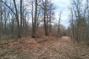Private wooded setting on 2-acre buildable land for sale near Trego Wisconsin