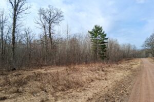 Private wooded setting on 2-acre buildable land for sale near Trego Wisconsin