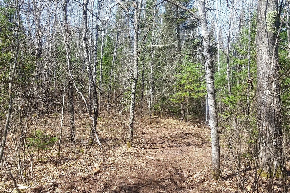 Northern WI Land Bordering National Forest!