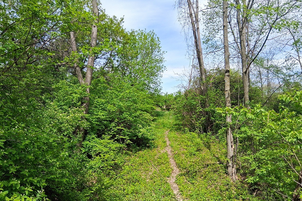 Southwest WI Land in Driftless Region!