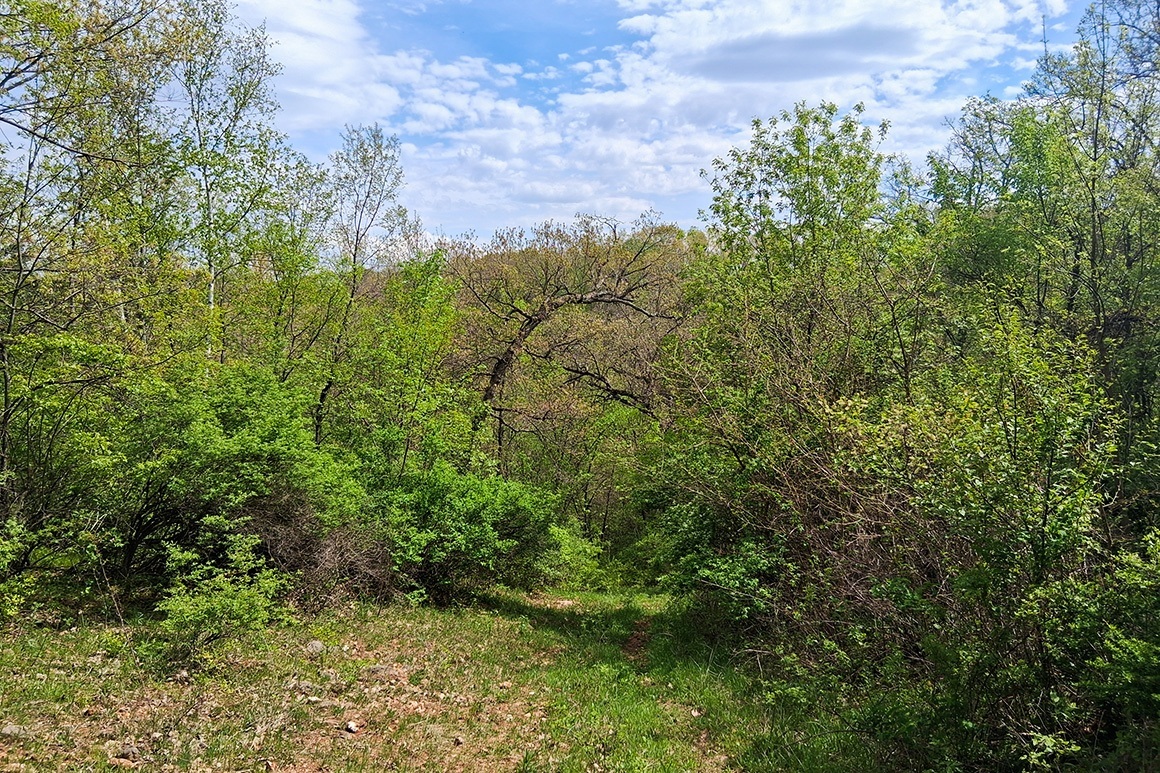 Southwest WI Land in Driftless Region!