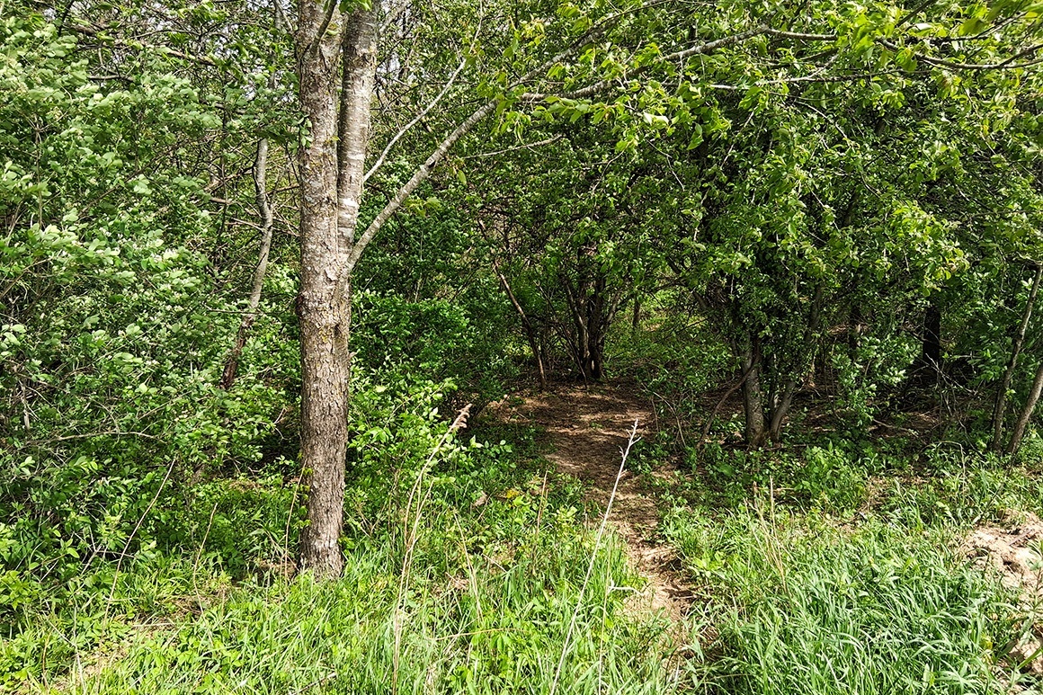Southwest WI Land in Driftless Region!