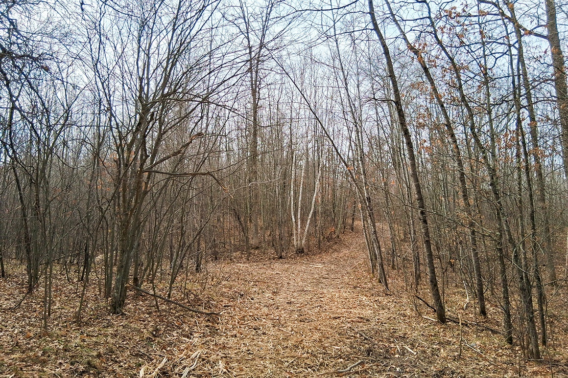 Northwest WI Acreage Near Namekagon River!