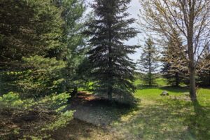 Homesite property for sale on Fox River in Marquette County, WI