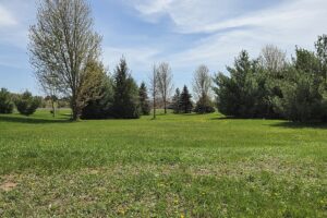 Homesite property for sale on Fox River in Marquette County, WI